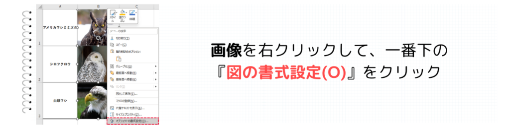 図の書式設定をクリック